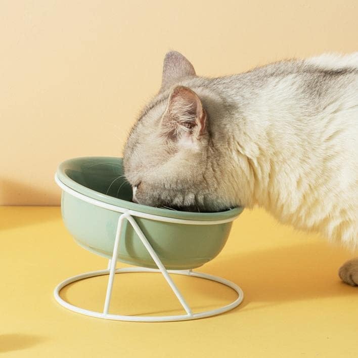 Raised Cat Bowl Ceramic Cat Food Bowls Tilted Elevated Cat Bowl for Food and Water Dog Cat Feeding Bowls with Stand for Cats and Small Dogs