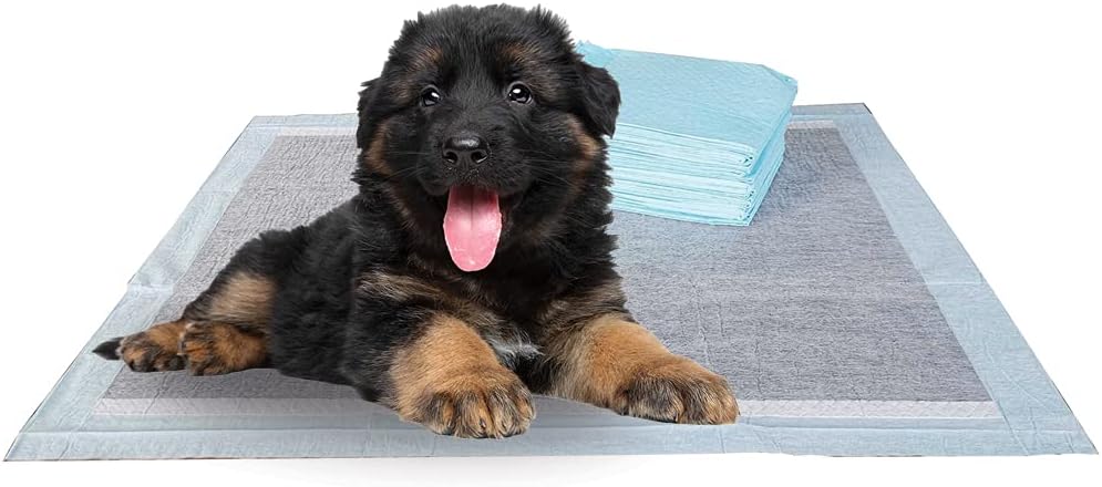 BV Charcoal Puppy Pads XL 40 Count 34"x28" - Leak-Proof Pee Pads for Dogs with 6-Layer Absorbent Design & Built-in Attractant - Dog Pad Extra Large with Charcoal for Odor Control - for Large Dogs