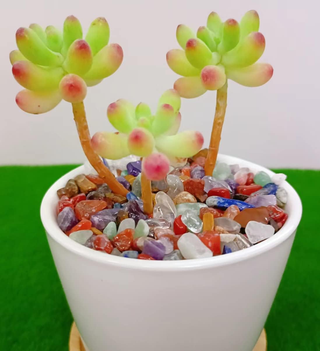 LAIDANLA Decorative Tumbled Gravel Chakra Colorful Crystals Chip Polished Bulk Natural Gem Aquarium Gravel Rocks Pebbles Fish Tank Gravel Vase Filler Succulents Terrarium Supplies 100g