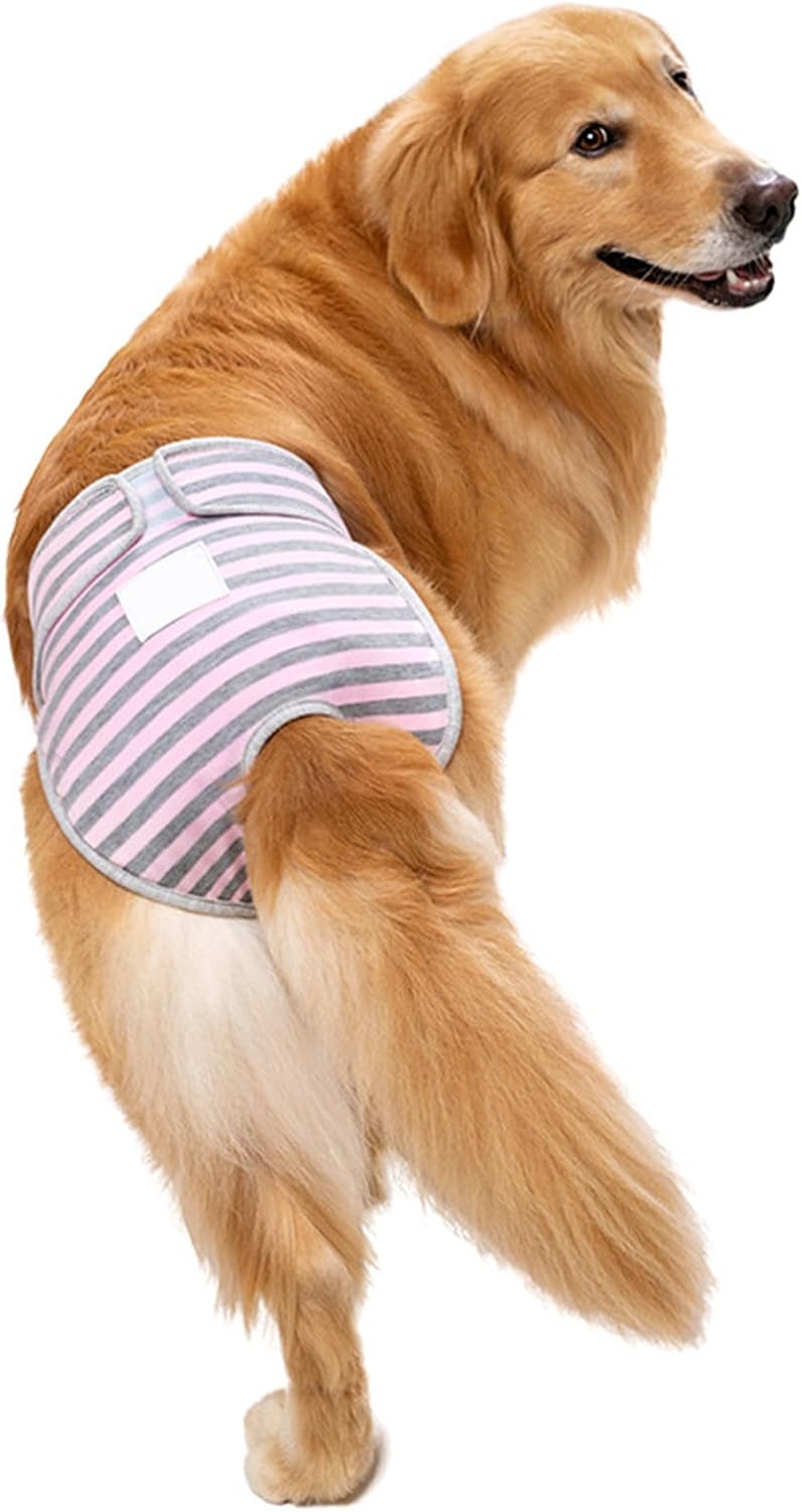 Dog Menstrual Pants Soft Adjustable Leakproof Comfortable Physiological Protection for Female Large Dogs Labrador Golden Retriever Polyester (S)