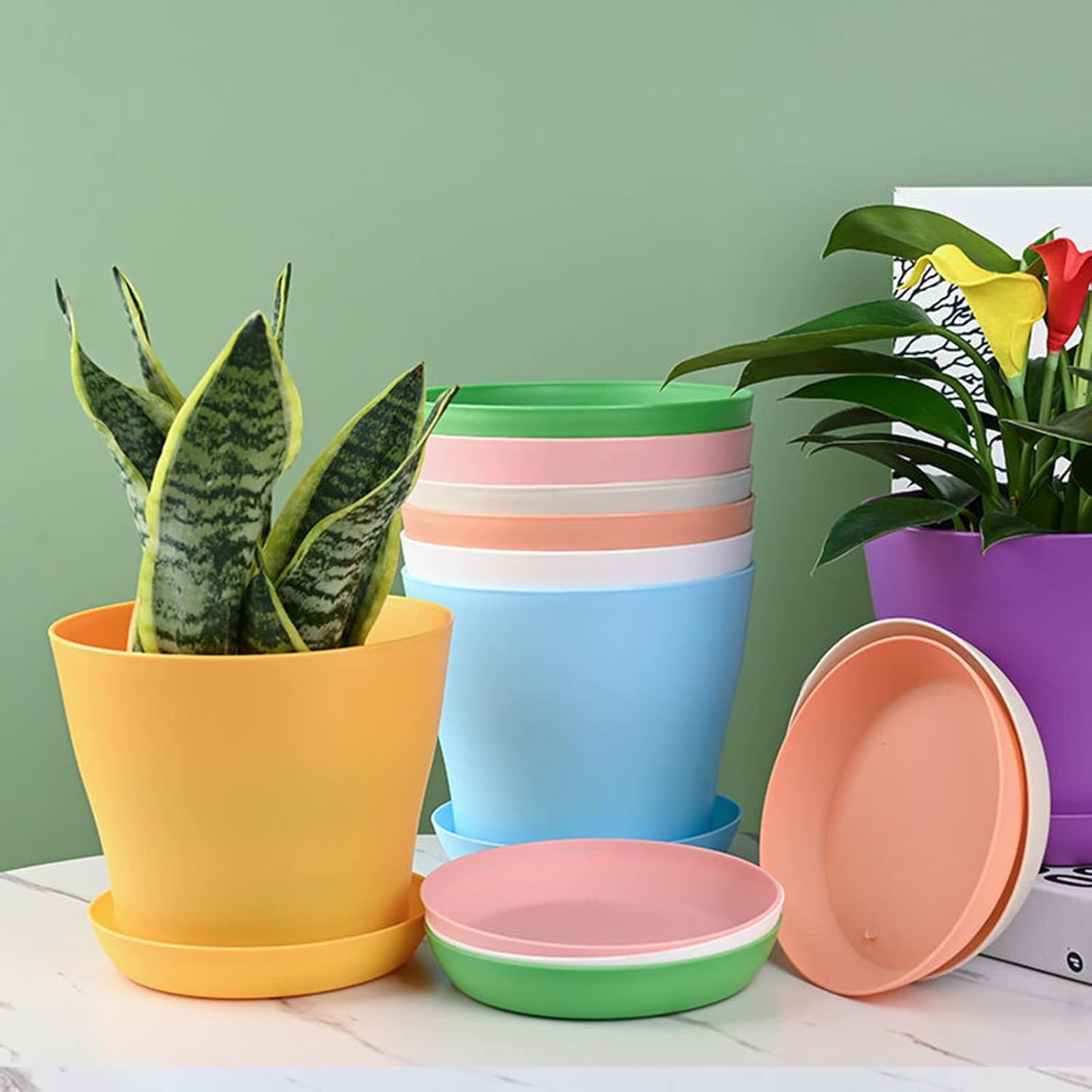 Tergy 50 Pack 4 Inch Plant Pots Bulk Small Plastic Planters Pots with Drainage Holes Flower Pot for Succulent, Cactus, Herb, African Violet (50pcs-Multicolor, 4Inches)