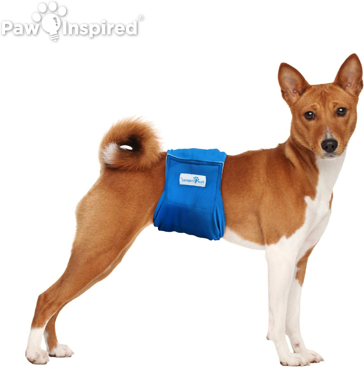 Paw Inspired 3ct Male Dog Wraps Washable, Belly Band for Dogs | Washable Dog Diapers, Reusable Male Dog Diapers for Marking (Medium (3 ct.), Assorted (White Lining))