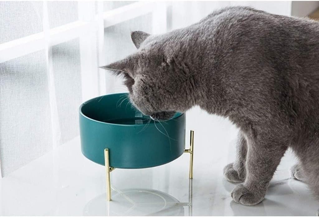 Dispenser Pet Automatic Feeder Pet Bowl Ceramic NonSlip, Cat and Dog Feeder, Cat Water Bowl Puppies Food Bowl with Gold Dish Rack pet Food Dispenser cat Fountain (Color : White) (Black)