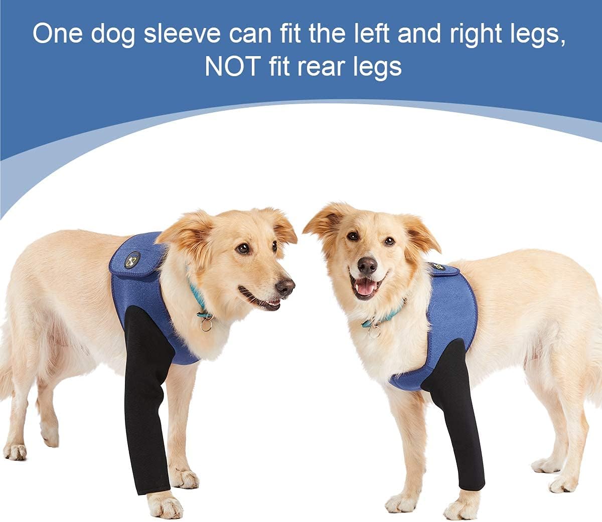 Coodeo Dog Recovery Suit, Cone Collar Alternative, Abrasion Resistant Dog Recovery Sleeve, Washable 2.5mm Thick and Waterproof, Pet Wounds Prevent Licking, Bite, Keep Dry（Blue，L