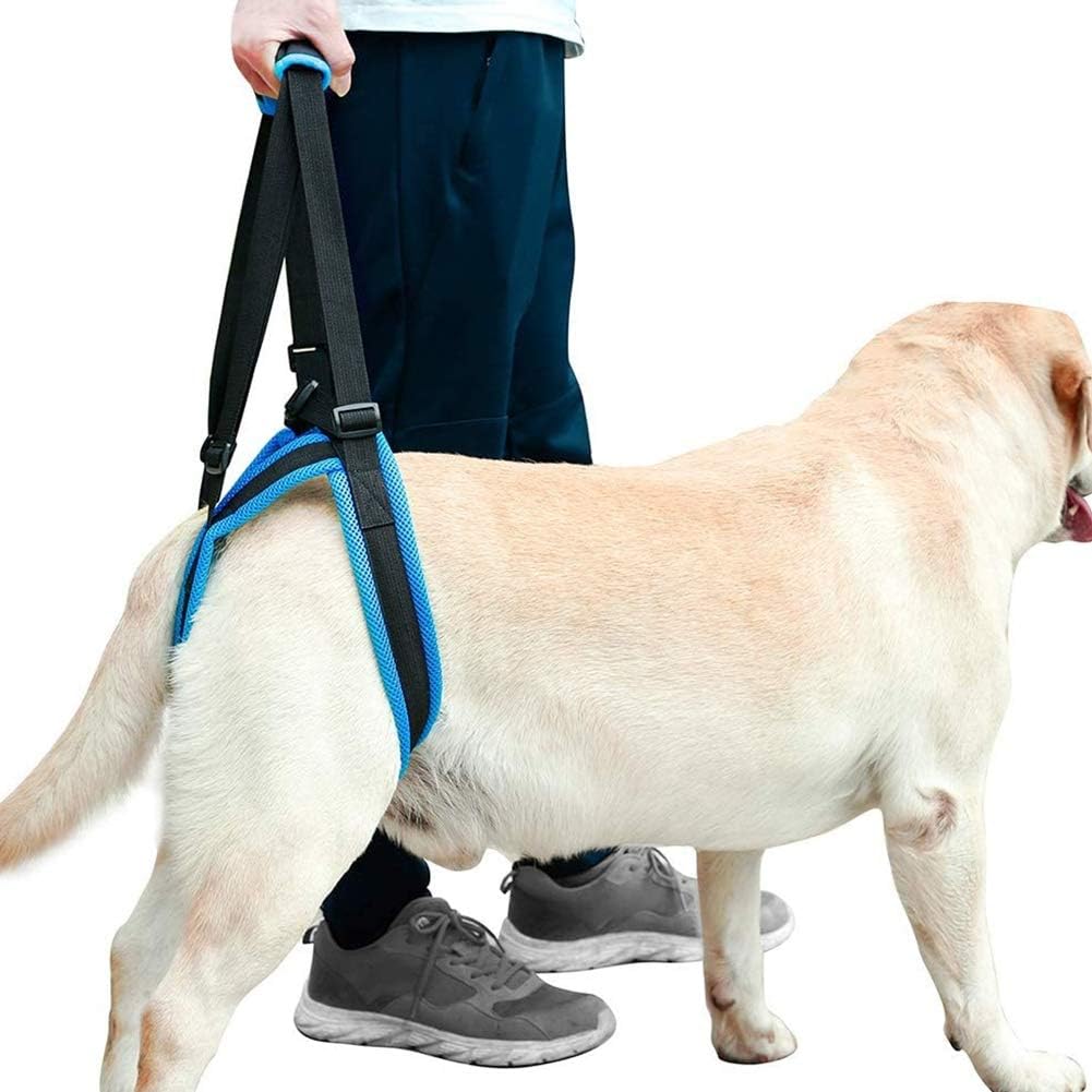 Lifting Harness for Dogs Back Legs Pet Support Harness Rear Helps with Poor Stability Joint Injuries Elderly and Arthritis Rehabilitation Rehab (Small)
