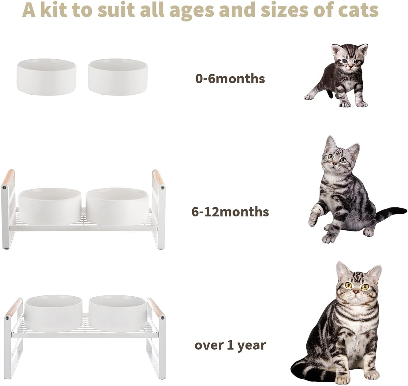 Upgraded Elevated Cat Bowls, Adjustable Raised Cat Dishes Stand with 2 Ceramic Bowls for Cats and Dogs, 20 oz Each