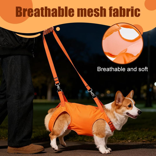 Dog Sling Harness, Adjustable Lifting Support Sling for Disabled & Elderly Dogs, Breathable Mesh with Padded Handle Dogs Cats Carrier for Walking, Vet Visit