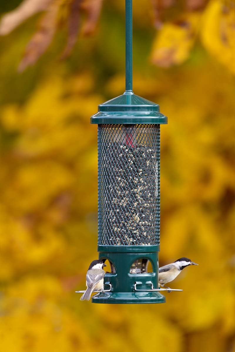 Squirrel Buster Legacy Squirrel-Proof Bird Feeder for Wild Birds – 4 Metal Removable Perches, 2.6 lb Seed Capacity, Chew-Proof Design, Easy to Clean, Green