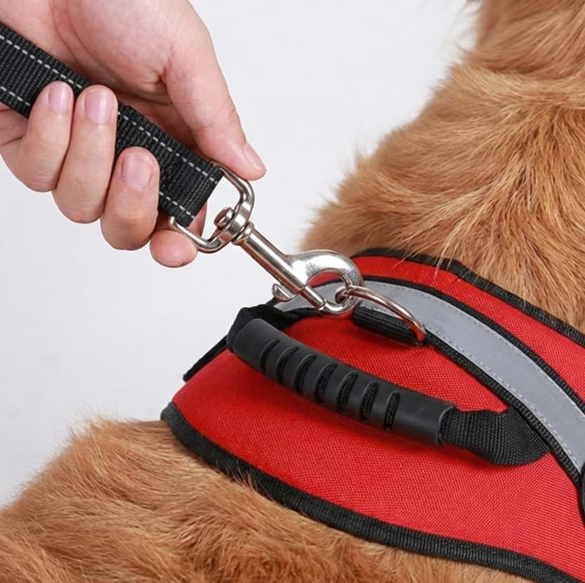Service Dog Harness Vest with Handle - Removable Patches (ESA, Support Animal, Emotional Support Animal, Therapy Dog, Autism, PTSD) 10 ADA Cards | All Access Canine