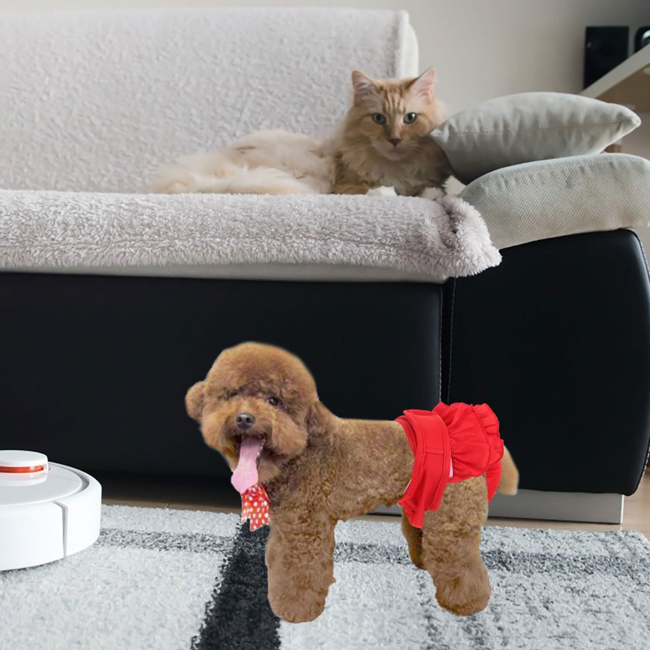Toyvian Dog Sanitary Panties Washable Female Dog Diapers Leakproof Design Comfortable Period Pants for Girl Dogs Reusable Doggie Pants for Menstruation and Accidents