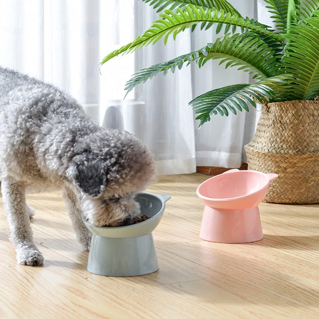 Dog Bowl Raised Cats Food Water Bowls with Elevated Stand Pet Feeding Bowl No-Spill 45° Slanted Pet Dish Blue Green