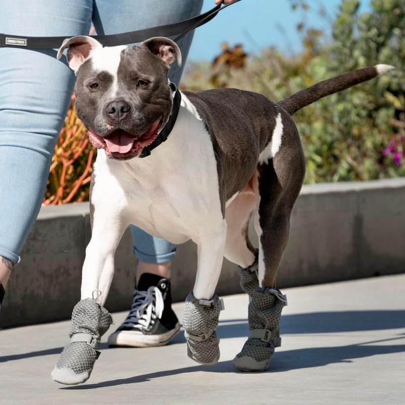 Canada Pooch Dog Boots for Hot Pavement - Dog Boots & Paw Protectors with Anti Slip Rubber | Water Friendly, Breathable Dog Shoes for Hot Days, Great for Dogs Grey - Size 4