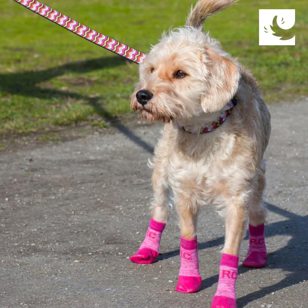 Sporty Pawks L Charcoal Heather