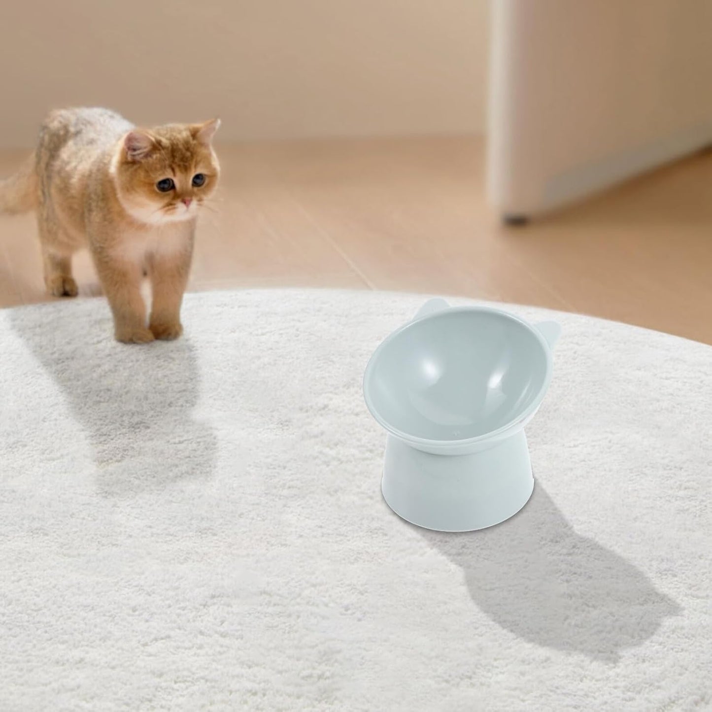 Raised Cat Food Bowl Ergonomic Design Elevated Plastic Cat Feeding Bowl with Neck Protection Slow Feeder Shallow Dish Grey