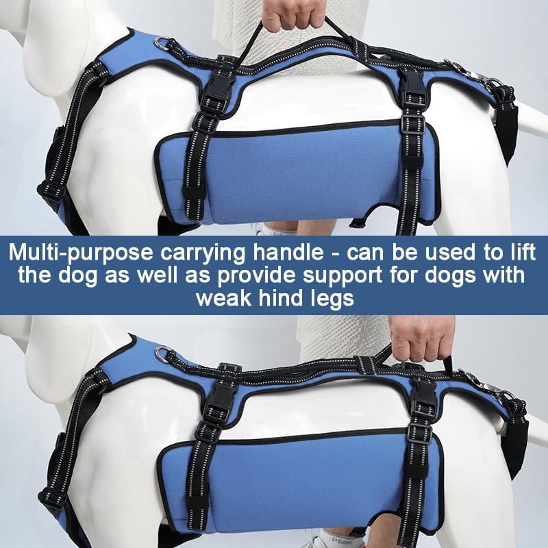 Coodeo Dog Lift Harness, Full Body Support & Recovery Sling, Pet Rehabilitation Lifts Vest for Old Dog with Arthritis Walk(Bule,L)