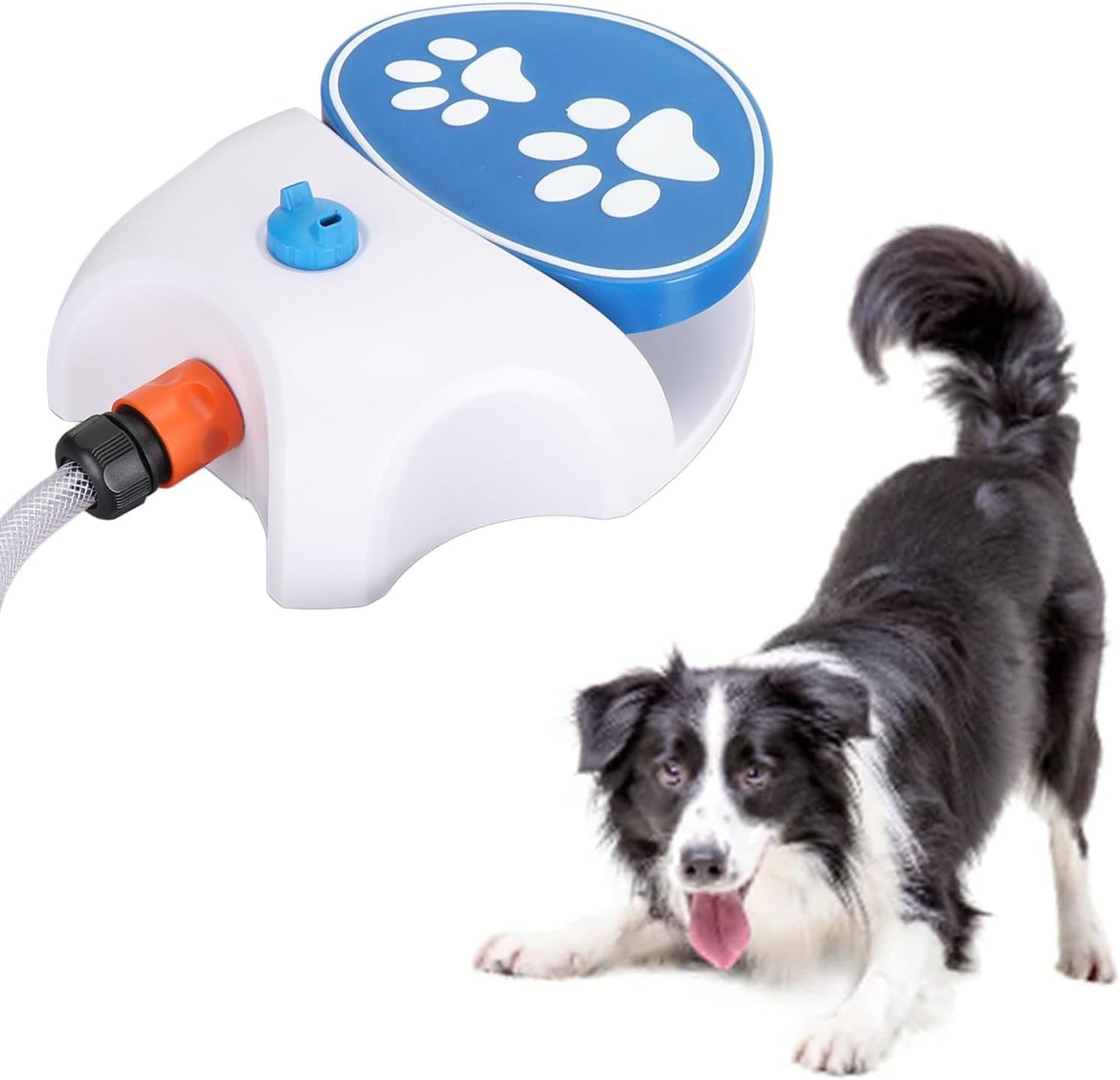 Dog Activated Outdoor Water Sprinkler, Pet Drinking Fountain Feeder with Hose