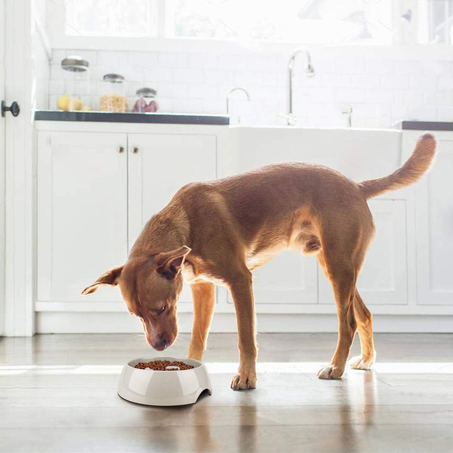 Flexzion Slow Feed Dog Bowl - Anti-Slip Slip Resistant Base Pet Animal Puppy Feeder Food Water Container Holder Dish Storage Anti-Gulping Three Columns Style 600ML, 2.5 Cup, 20oz Capacity