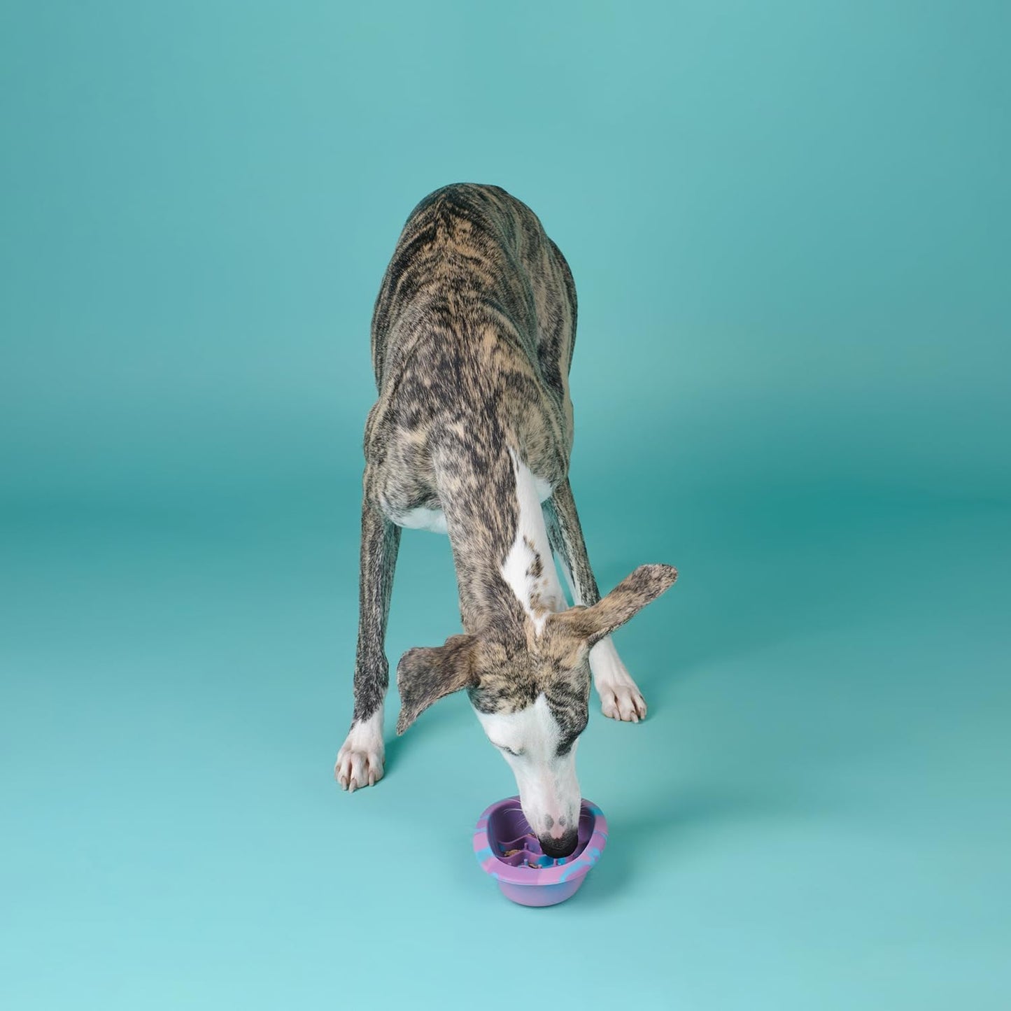 CHEWFFON Easter Dog & Cat Lick Mat Bowls, BPA-Free Silicone Slow Feeder Bowl with Suction Cups, Non Slip Pet Food Bowl Reduces Boredom and Anxiety, Dishwasher Safe, Rainbow Small