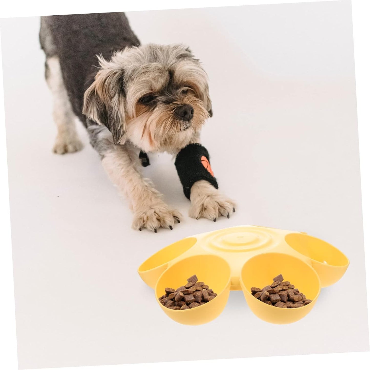 Pet Feeding Bowl Feeders Cat Bowls for Food and Water Indoor Water Fountains Food Dispenser Eating Station for Cats Puppy Bowls Dog Travel Round Plastic Supplies
