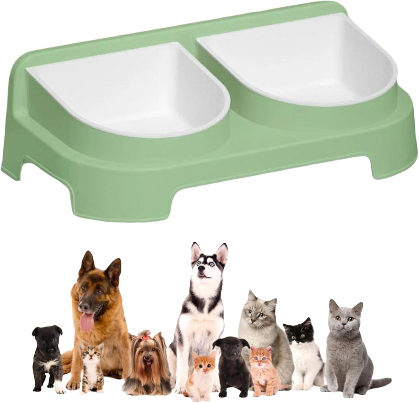 Shinsto Double Elevated Pet Feeder Bowls with Stand Raised Dog Cat Bowls Easy to Clean Design Green One Size
