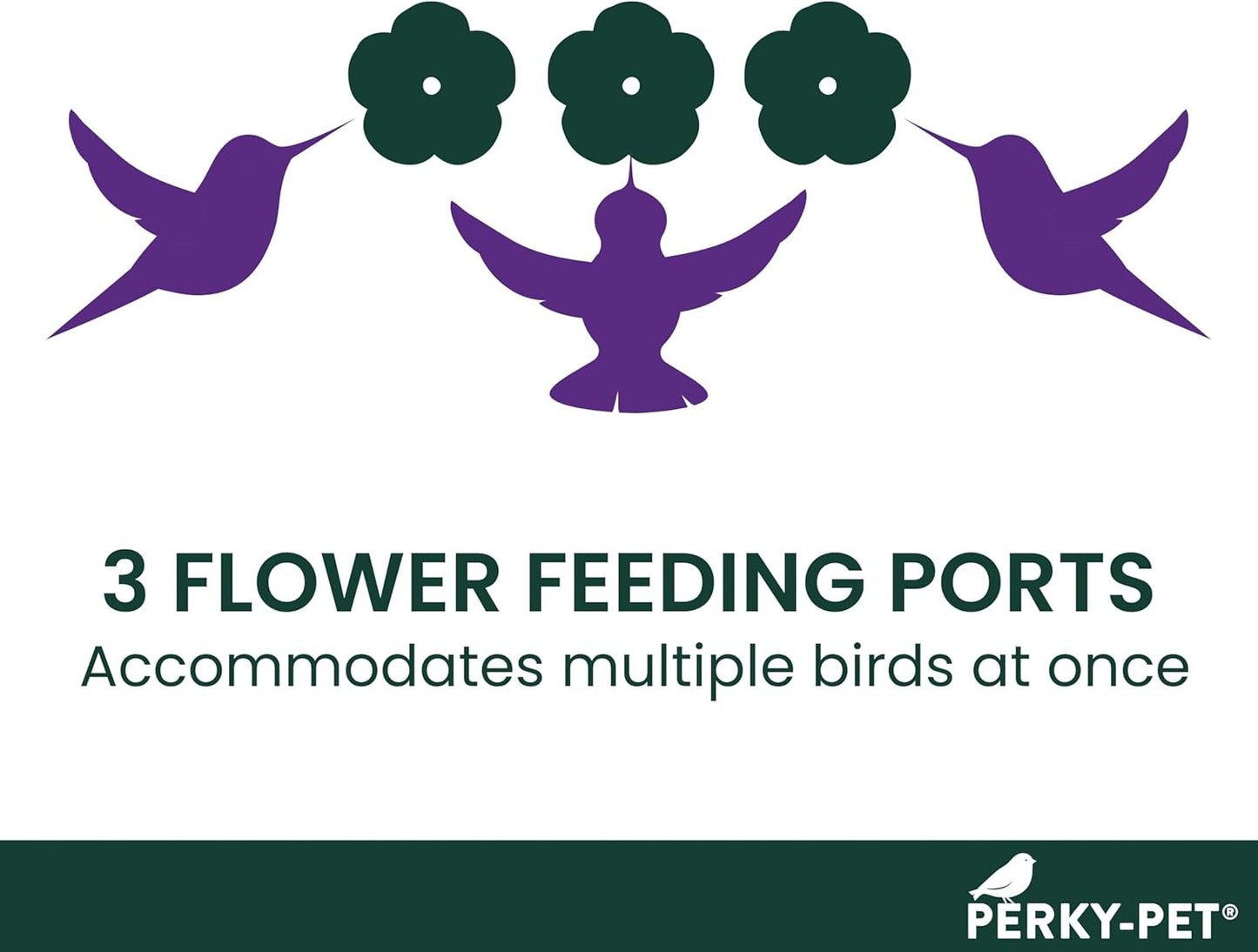 Perky-Pet Plastic Window Mount Hummingbird Feeder with Perches - 8 oz Hummingbird Nectar Capacity, 217 - Hummingbird feeders for outdoors