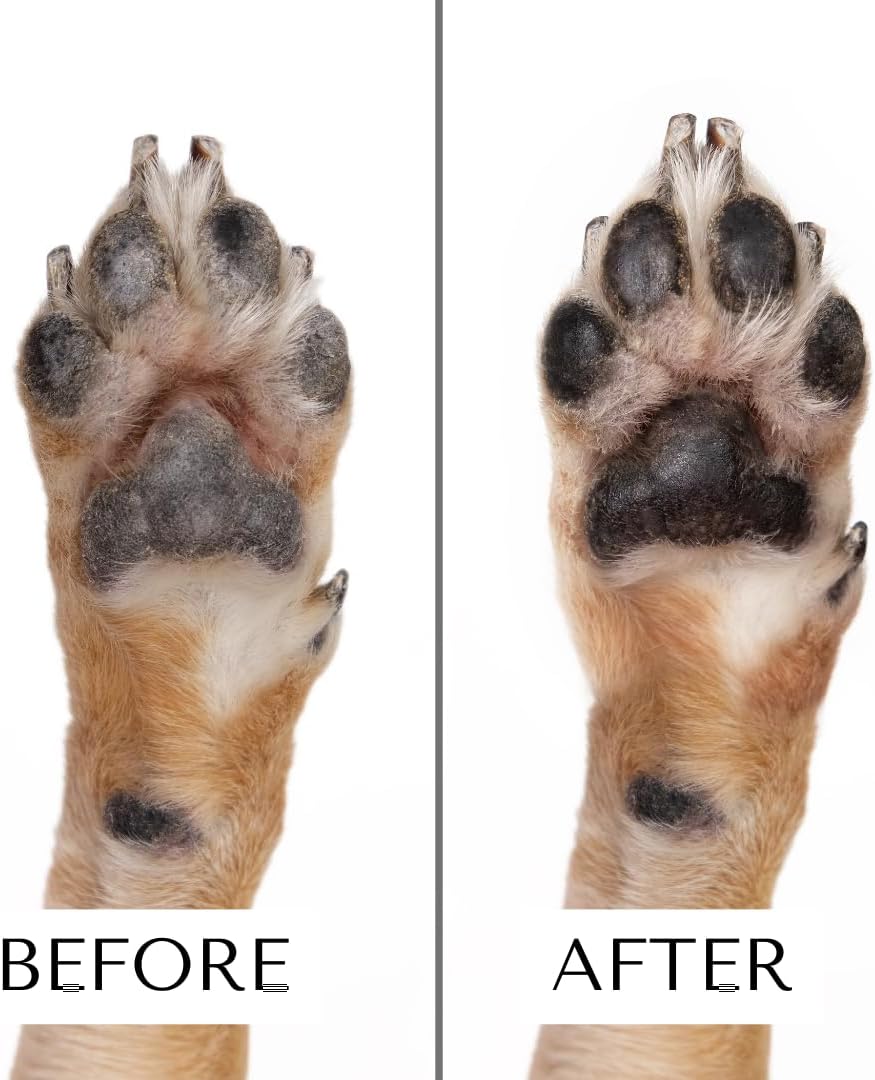 Moisturizing Paw Serum | Lick-Safe & Fragrance-Free | Fast-Absorbing Balm Alternative for Dry, Cracked Paws, Made in The USA, 1.69 fl oz