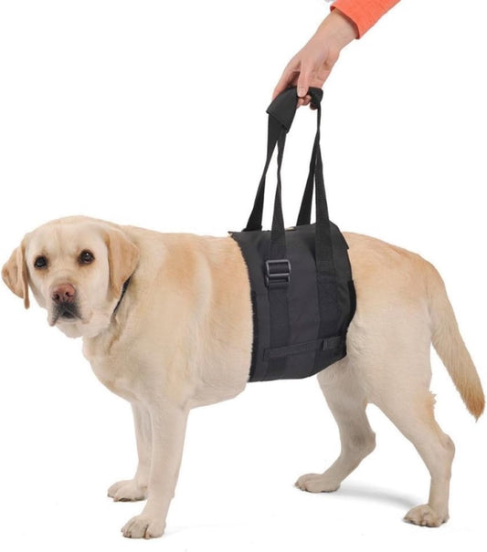 Ortocanis - Walking Aid. Support Harness for Dogs with Mobility Problems. Hind Leg Support. Size L