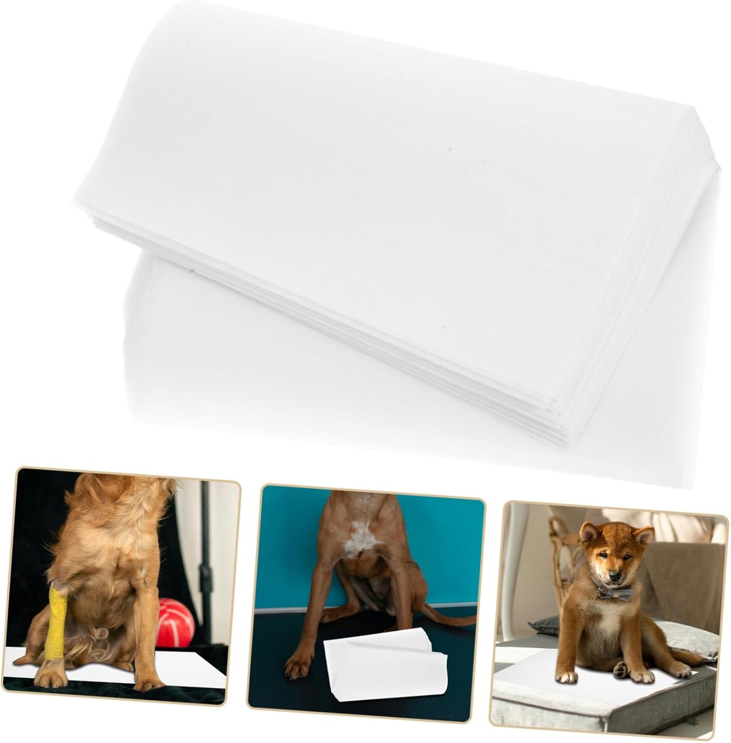 Milisten 50pcs Large Dog Pee Pads Disposable Puppy Training Sheets High Absorbent Nonirritating Pet Urine Pads for Cats and Dogs Skin Friendly Housebreaking
