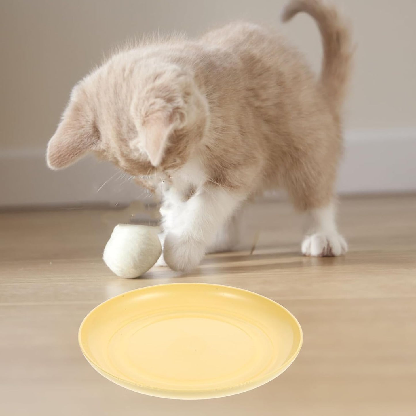 FAVOMOTO 8pcs Light Yellow Plastic Cat Bowls Set with Shallow Round Plates and Feeding Base, Anti-Whisker Fatigue Kitten Food Dishes for Indoor Small Cats and Short-Legged Pets