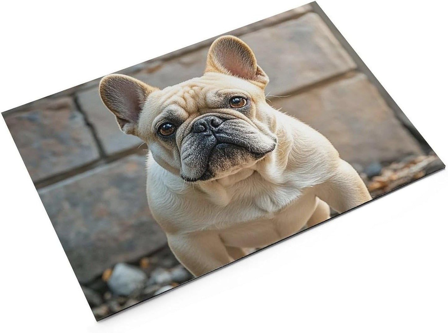 Dog Food Mat Pet Leather Tablecloth French Bulldog Pet Feeding Mat Anti-Slip Dog Bowl Mats Absorbent Pet Placemats for Dogs Protect Floor Dogs Pad for Food and Water