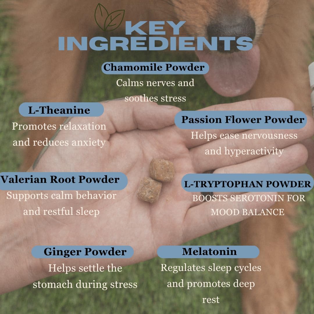 Calming Chews for Dogs – Stress & Anxiety Relief with Melatonin, Chamomile & L-Tryptophan – Soothes Hyperactivity, Separation, Travel & Fireworks – 120 Soft Chews