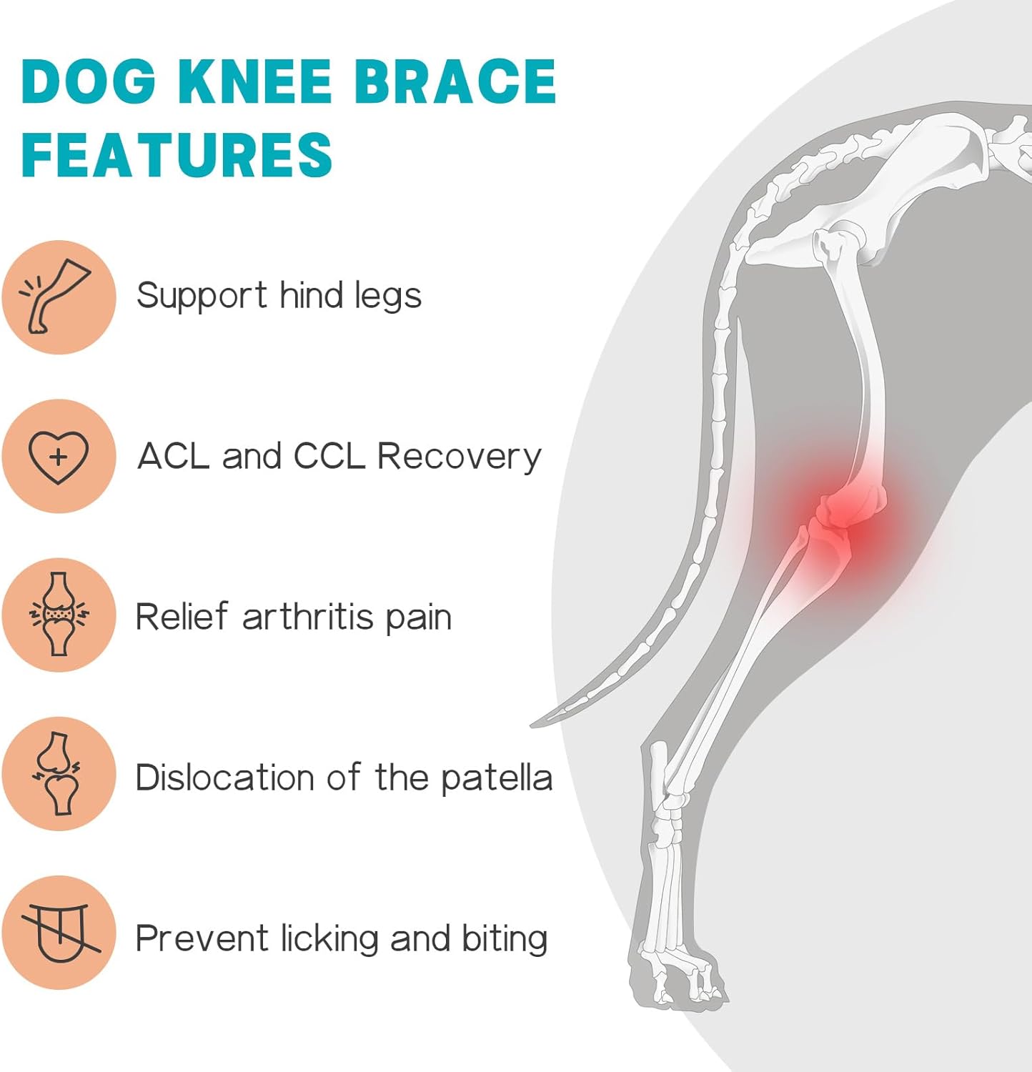 Dog Knee Brace–Adjustable Support Brace for Torn Acl Hind Legs with 2 Stabilizer Support to Reduces Pain, Ligament Injuries & Luxating Patella for Small Medium Large Dogs (Left Leg, M)
