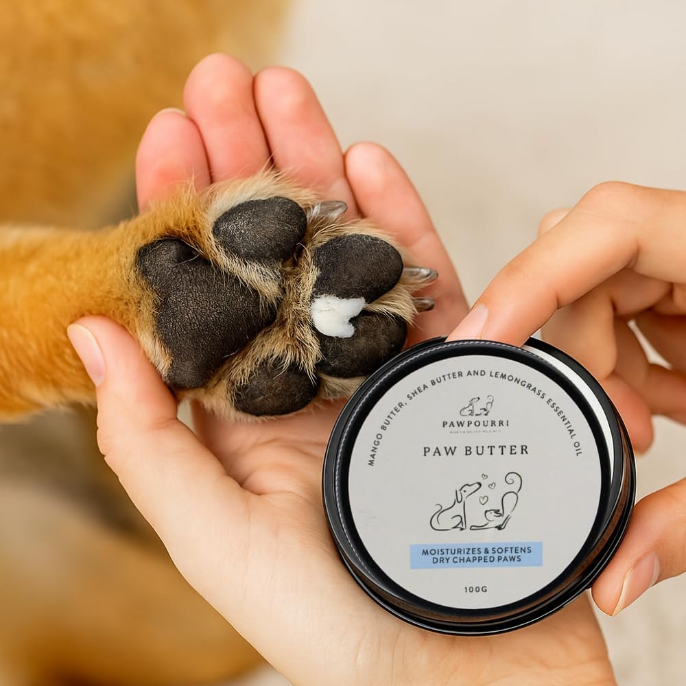 Paw Butter for Softening and moisturizing Dry and chapped Paws of Dogs and Cats | Enriched with a Blend of Mango Butter, shea Butter, and Lemongrass - 100g