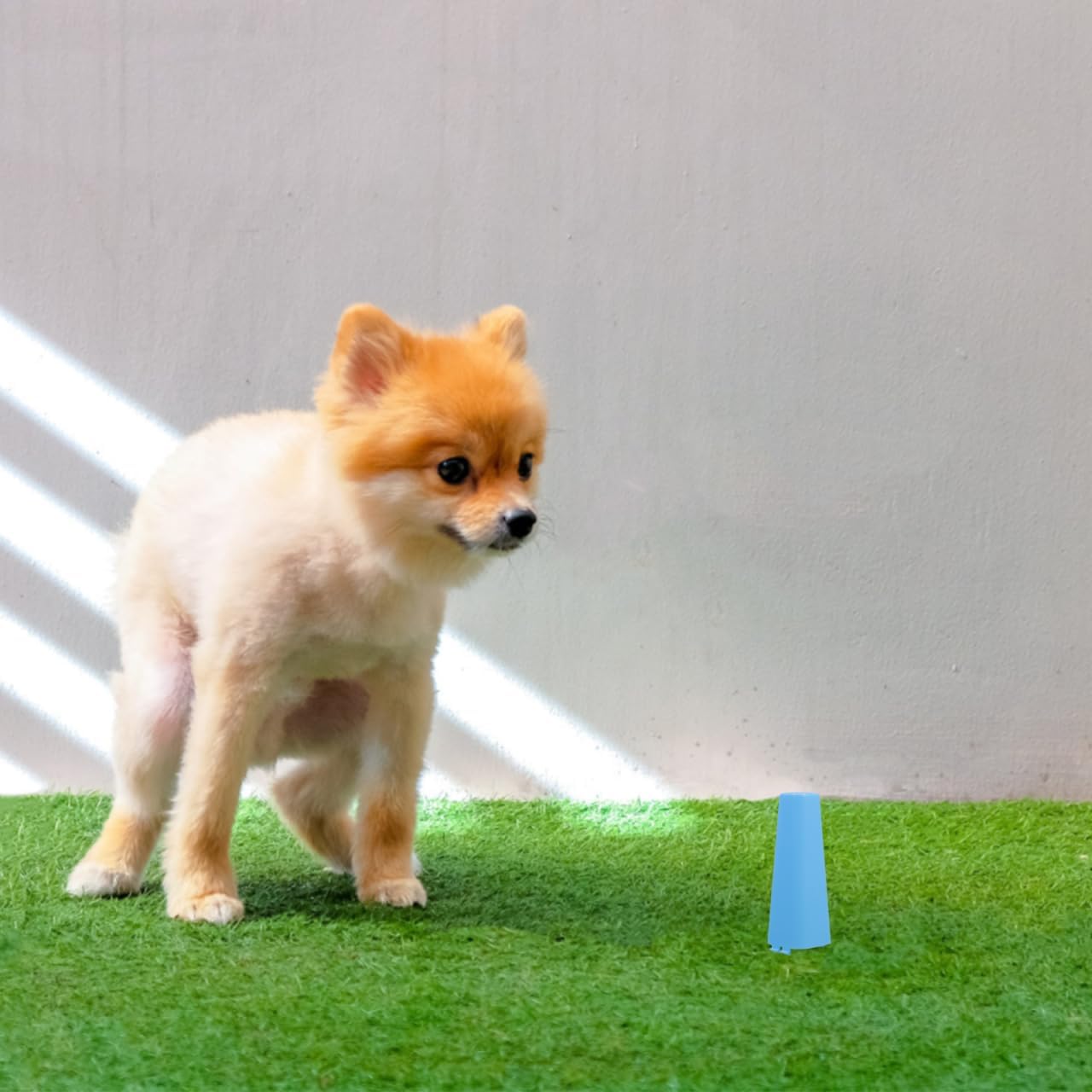 POPETPOP Dog Peeing Post for Indoor Potty Training Plastic Urine Column for Dogs Marking Post for Indoor Pee Pad Station for Puppies