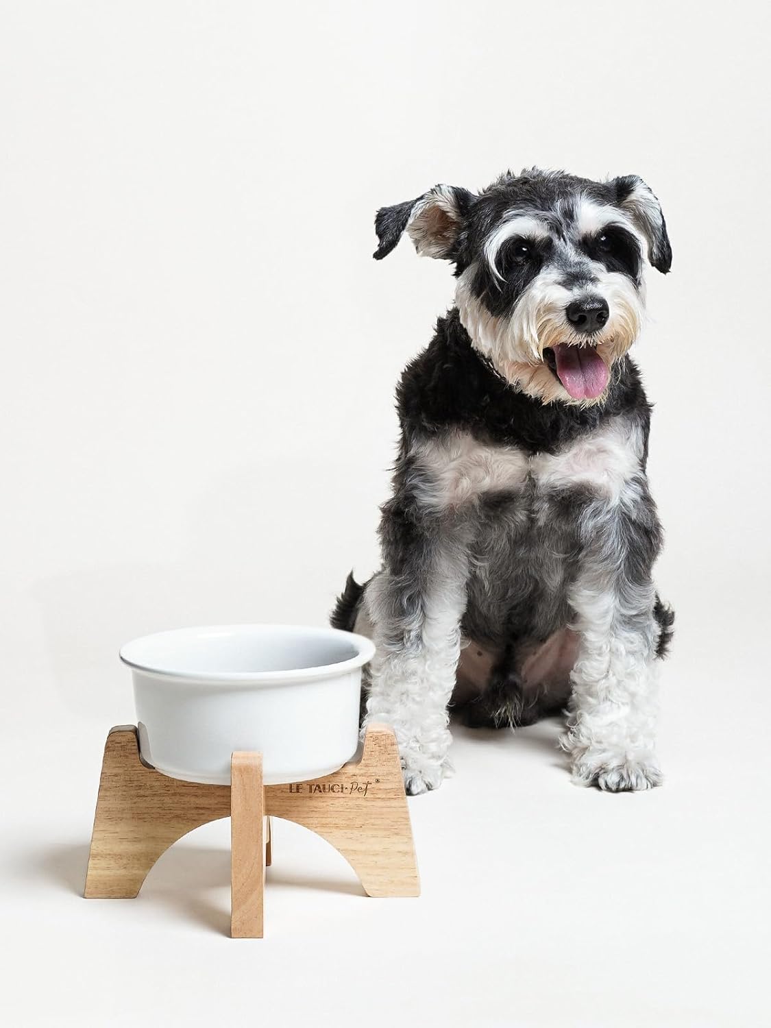 Raised Ceramic Dog Bowl with Wooden Stand, 6.5 Inch Elevated Feeder for Small & Medium Breeds, White, Set of 1