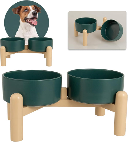 Elevated Ceramic Dog Bowl Set of 2 - Double Dishes with Non-Slip Stand - Raised Food and Water Bowls - Ideal for Small to Medium Dogs - Each Holds 2 Cups (28.75 fl oz) - Green
