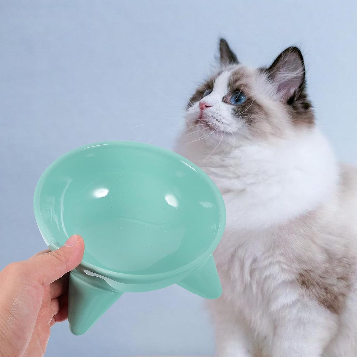 Milisten Elevated Cat Feeding Bowl Raised Pet Water Bowl Tilted Ceramic Dish Anti-Spill Design Mint Green for Cats and Dogs Indoor Use