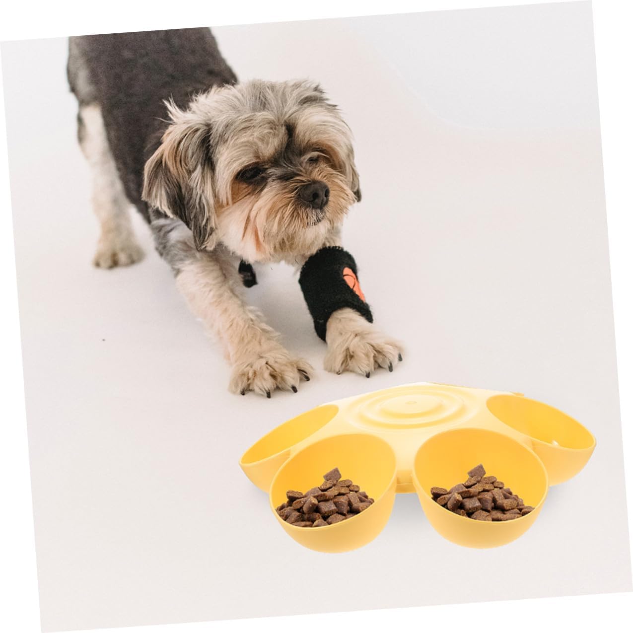 Milisten 2pcs Flower Petal Shaped Pet Feeder Bowls, 6-Compartment Plastic Food and Water Dishes, Non-Skid Reusable Indoor Cat and Dog Feeding Supplies, Portable Yellow Bowls for Multi-pet