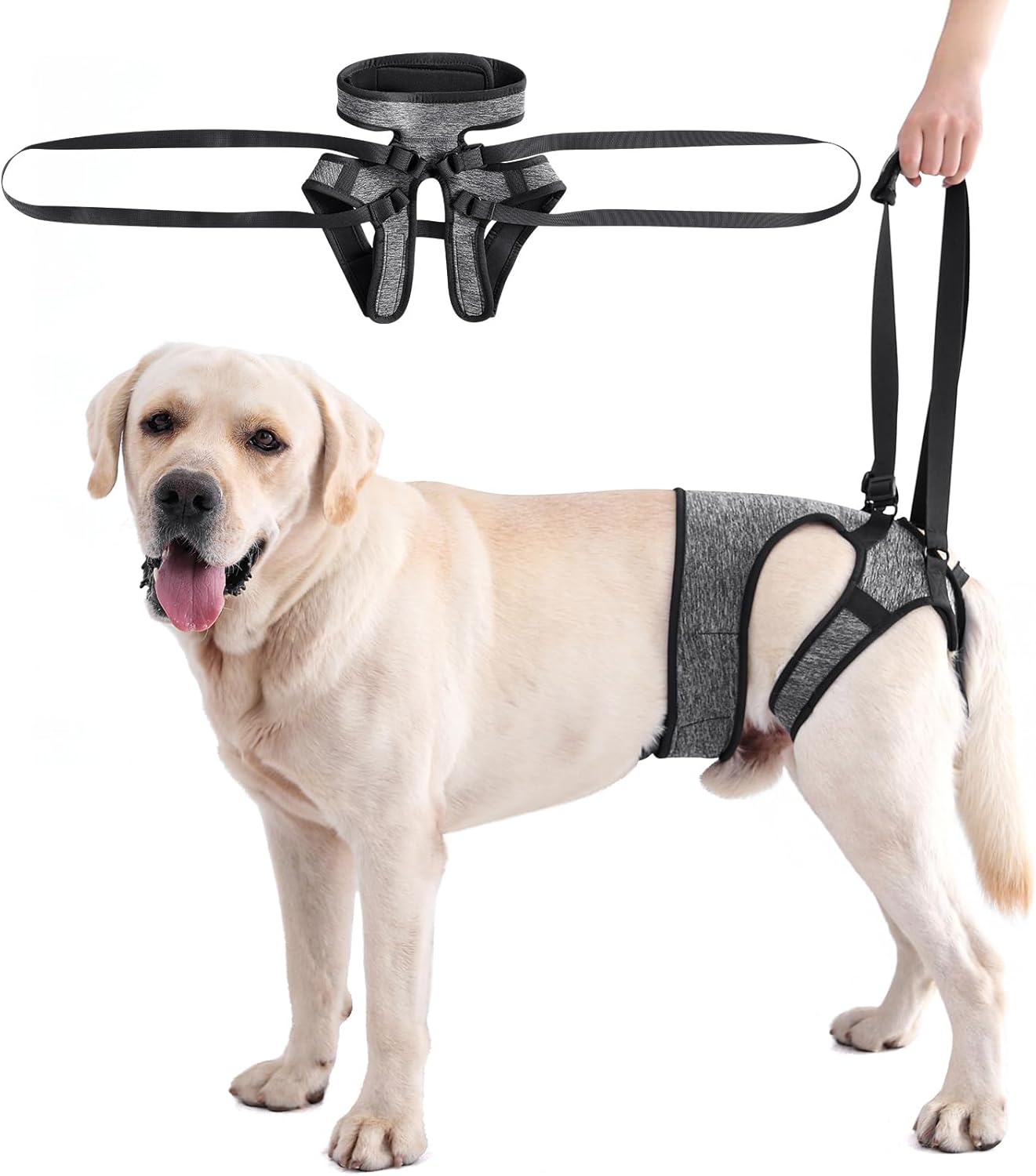 LIANZIMAU Dog Sling for Large Dogs Adjustable Hind Leg Support Lift Harness Senior Canine Mobility Aid Carrier for Back Legs Walking Rehabilitation