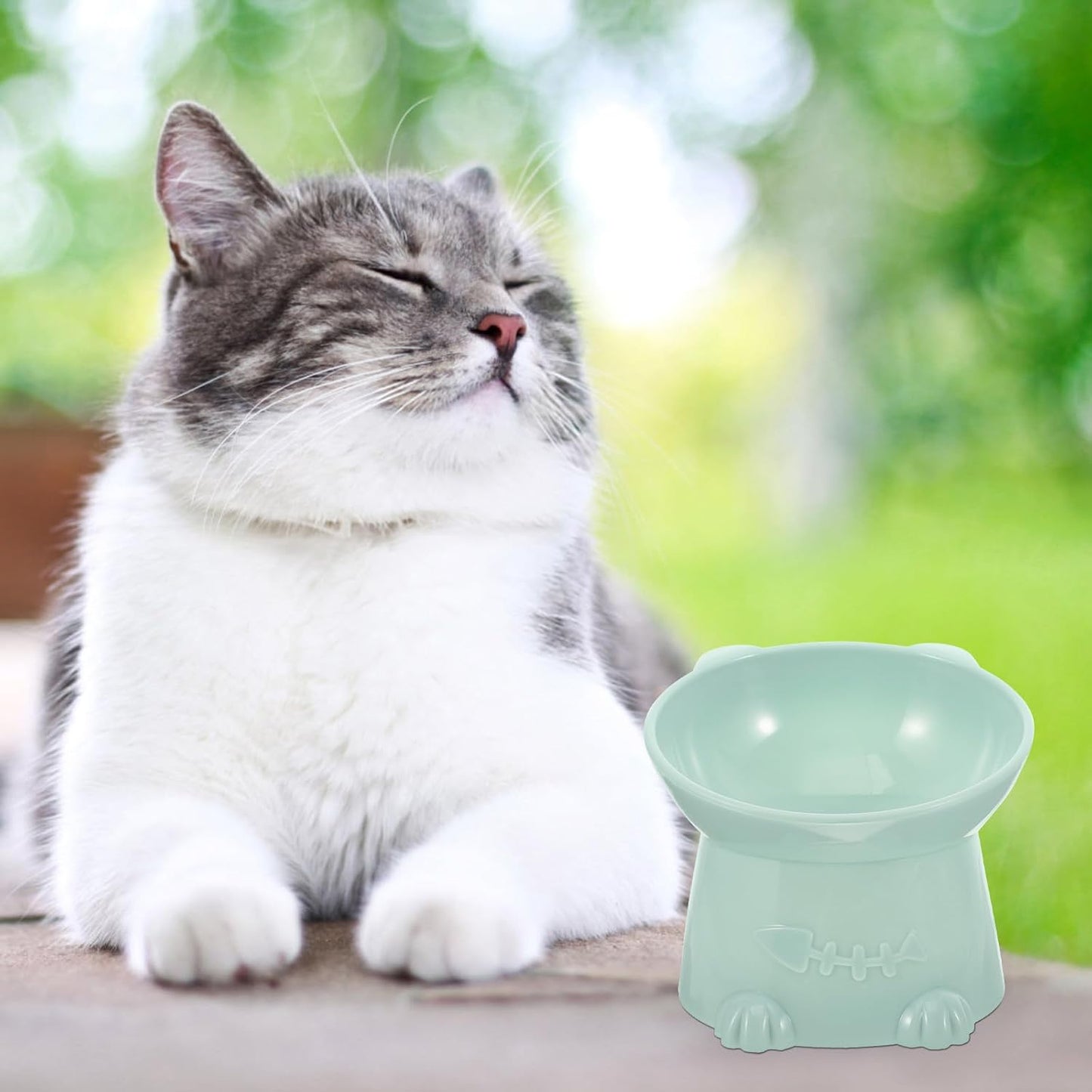Milisten Raised Tilted Cat Food Bowl with Neck Guard 6cm Elevated Blue Pet Feeder for Indoor Cats Anti-Spill Raised Food Bowl and Small Dogs