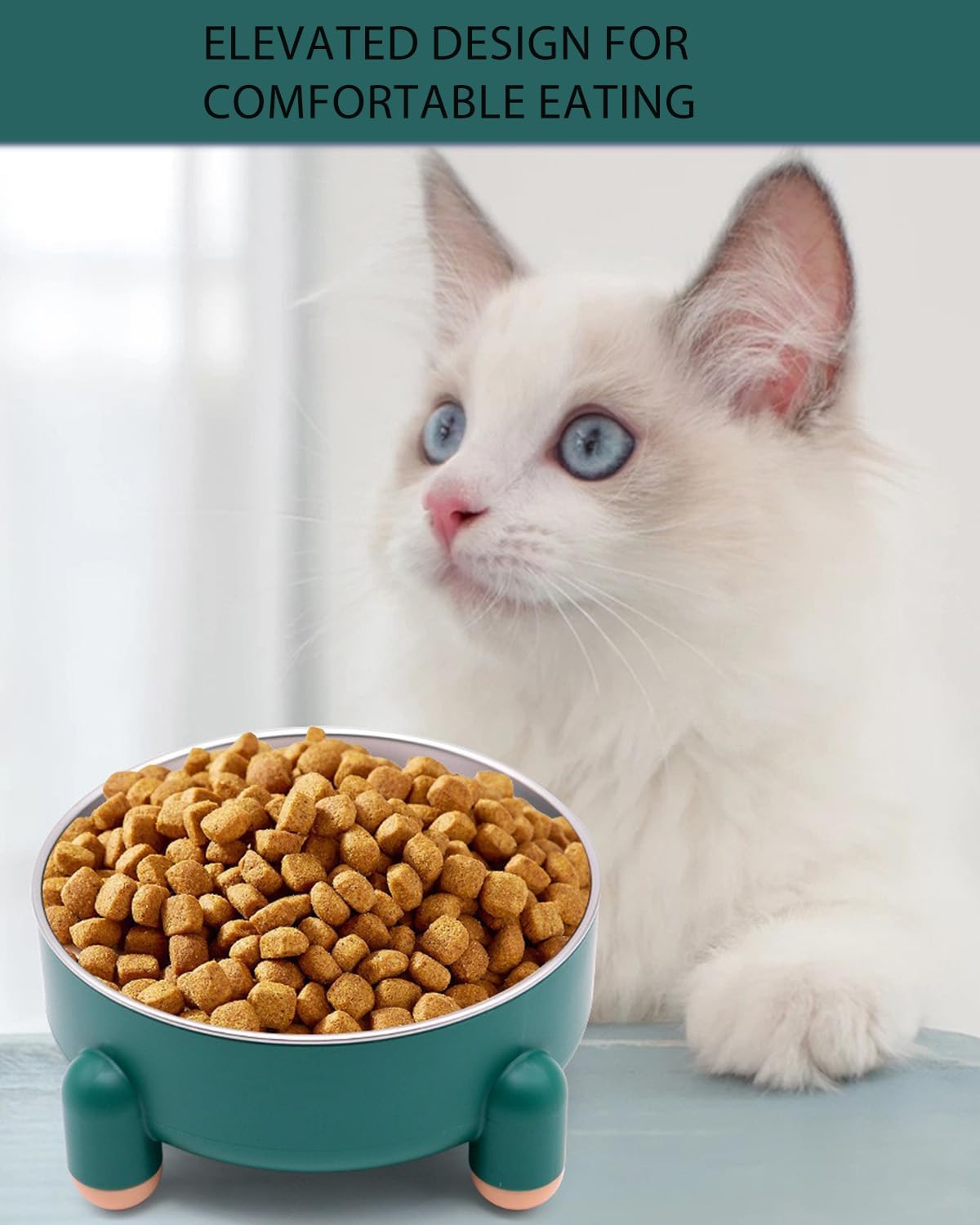 Raised Cat Food Bowl, Anti Vomiting Elevated Cat Bowl Stainless Steel, Whisker Friendly Shallow Wide Dish, 3 Cups (24 oz) Non-Slip Dishwasher Safe for Indoor Cats (Green, 1-Pack)