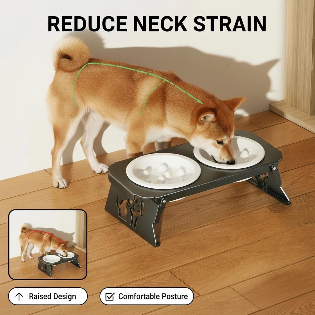 Elevated Ceramic Slow Feeder Bowls, 2 Bowls & Black Stainless Steel Stand,for Cats and Small Medium Dogs, 1.5 Cups*2,Raised Cat Food and Water Bowl Set, Blue & White