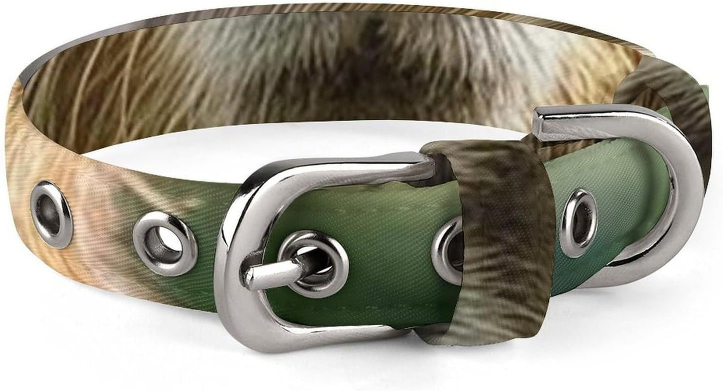 Capybara with Eyes Closed Dog Collar with Buckle Adjustable Martingale Pet Collars Cute Female Male Puppy Collar Soft Waterproof Cat Collars for Small Medium Dogs