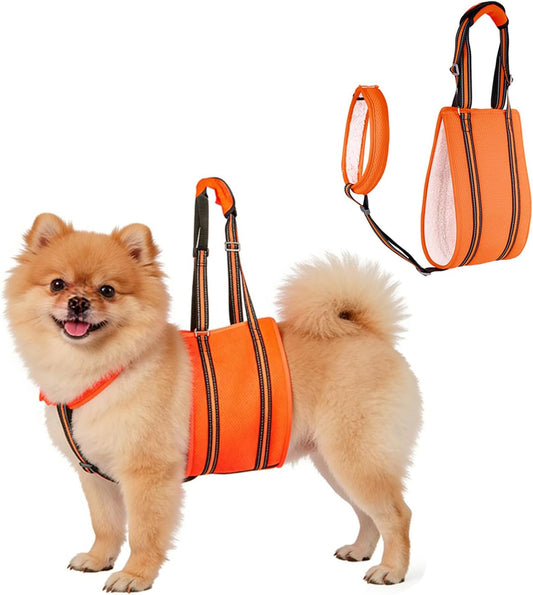 Adjustable Dog Lift Harness, Rear Leg Support and Rehab Harness for Small Dogs, with Stabilizing Strap and Reflective Strip, Helps Assist Elderly, Disabled, and Post-Surgery Dogs