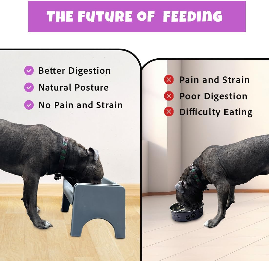 Fluff Trough 7.25 Inch Tall Elevated Dog Bowls for Medium & Small Dogs – Stainless Steel Raised Dog Bowl with Stand Holds 2 Cups of Pet Food – Vet Recommended, Dishwasher Safe Dog Feeder Station
