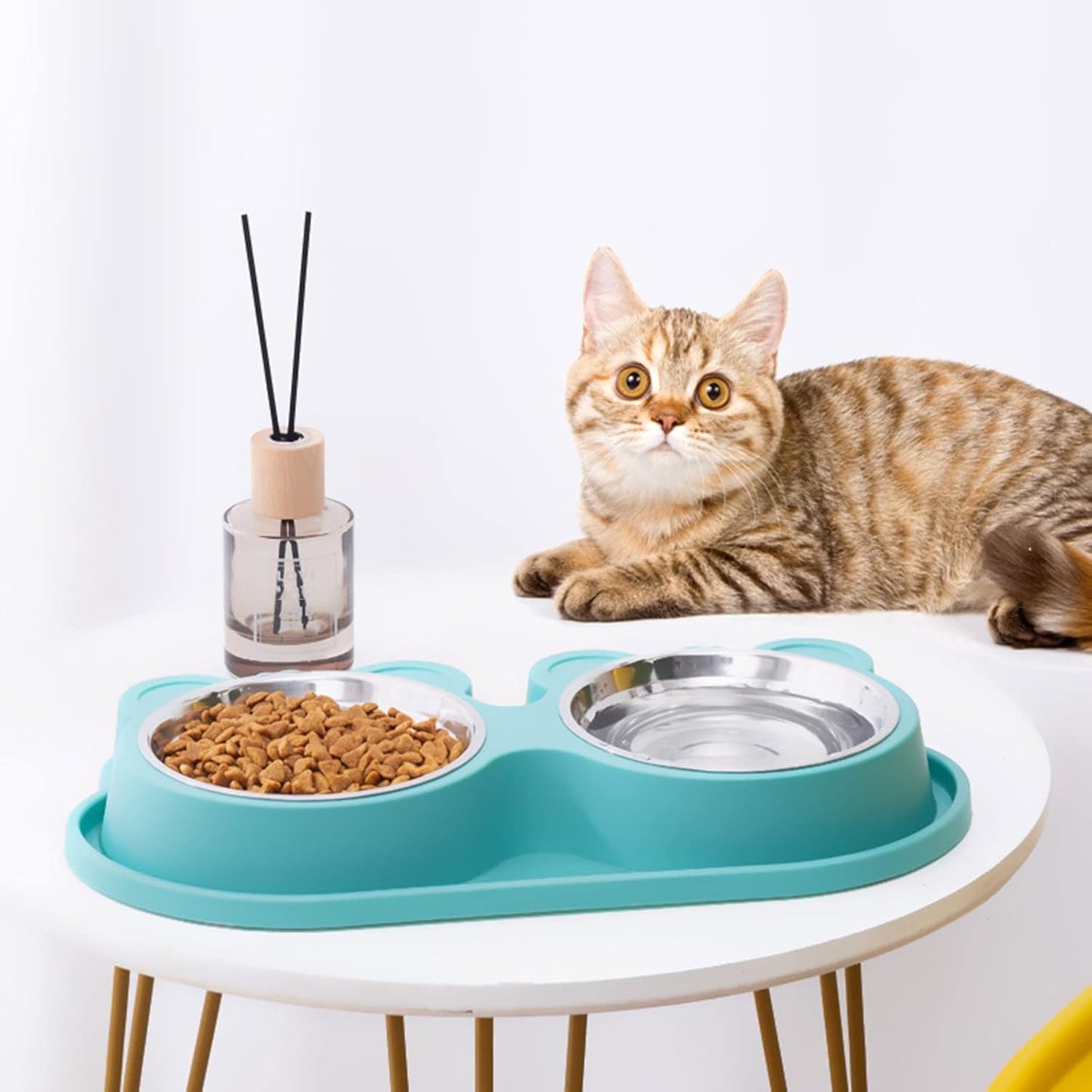 Pet Automatic Feeder + Waterer for Cat Stainless Steel Bowl Anti-Leak Water Fountain 2 in 1 Pet Tableware Dog Water Feed