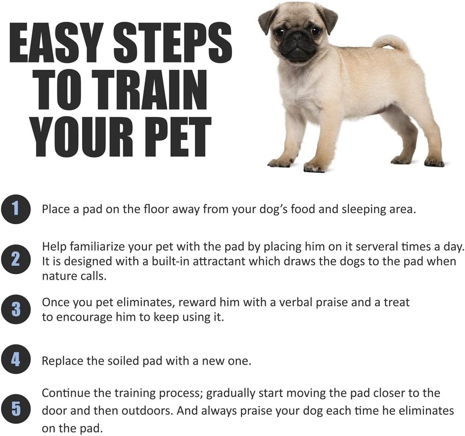 BV Puppy Pads Leak-Proof 100 Count 22"x 22" - Absorbent Pee Pads for Dogs with 6-Layer Design, Rapid Dry Sheet & Built-in Attractant - Dog Pad with Odor Control, Perfect for Puppies & Senior Dogs