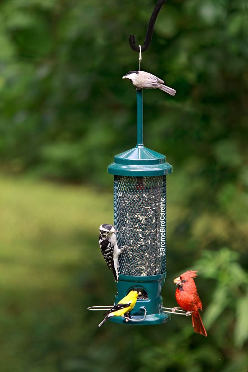 Squirrel Buster Legacy Squirrel-Proof Bird Feeder for Wild Birds – 4 Metal Removable Perches, 2.6 lb Seed Capacity, Chew-Proof Design, Easy to Clean, Green