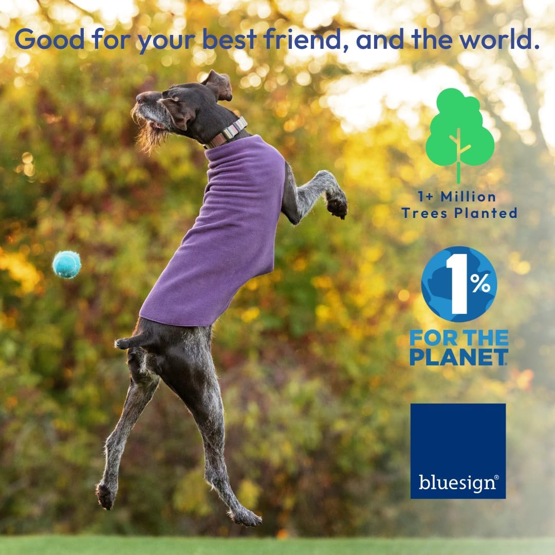 Goldpaw Stretch Fleece Dog Sweater - with Spandex for 4-Way Stretch - Soft, Comfortable Dog Coat - Machine Washable - Made in the USA - Rose - Size 6
