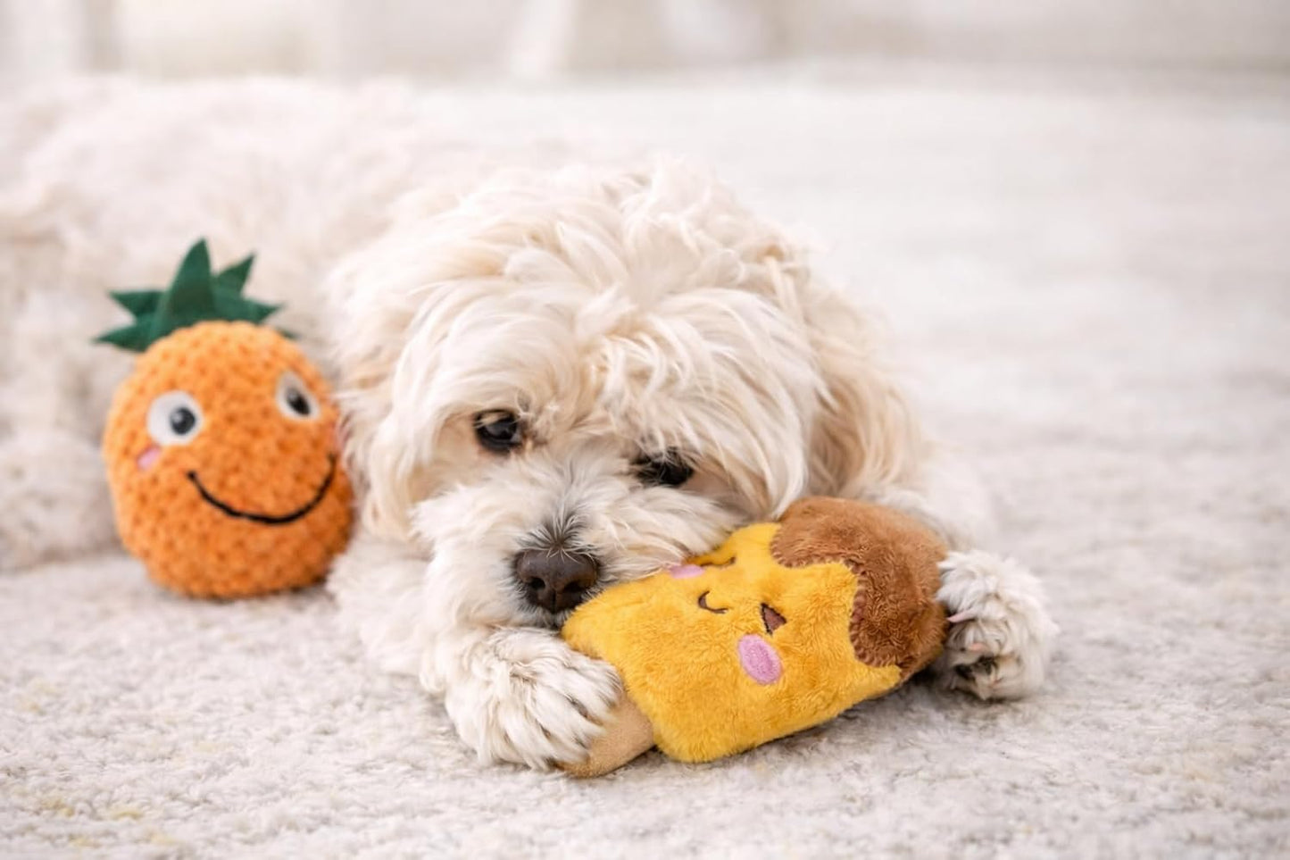 Jalousie 18 Pack Dog Squeaky Toys Cute Stuffed Pet Plush Puppy Chew for Small Medium Pets - Bulk